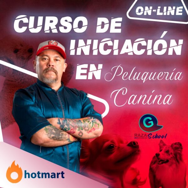 curso de Peluquería Canina