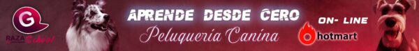 Curso de Peluquería Canina